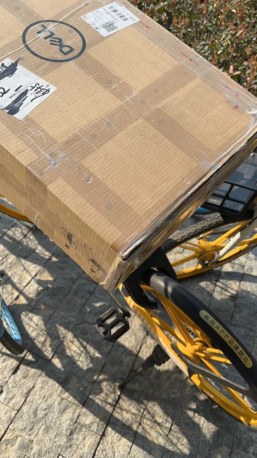 image-20230312202002742